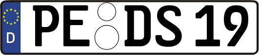 PE-DS19