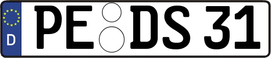 PE-DS31