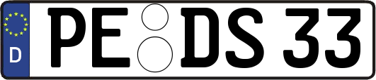 PE-DS33