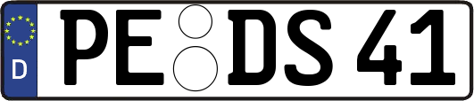 PE-DS41