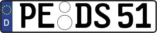 PE-DS51