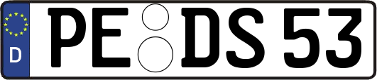 PE-DS53