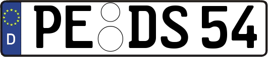 PE-DS54