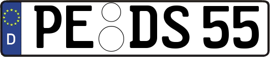 PE-DS55