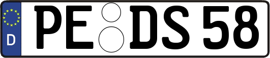 PE-DS58