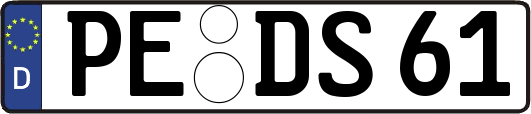 PE-DS61