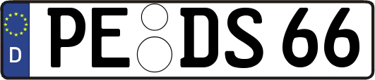 PE-DS66