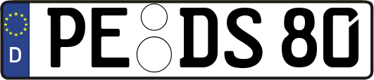 PE-DS80