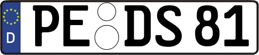 PE-DS81