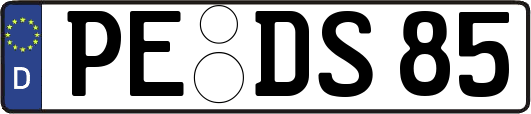 PE-DS85