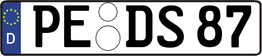 PE-DS87