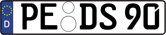 PE-DS90