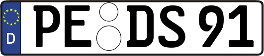 PE-DS91
