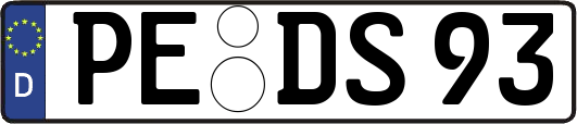 PE-DS93