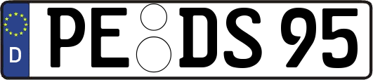 PE-DS95