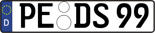 PE-DS99