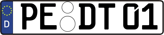 PE-DT01