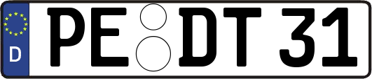 PE-DT31