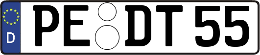 PE-DT55