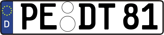 PE-DT81