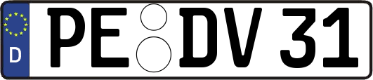 PE-DV31