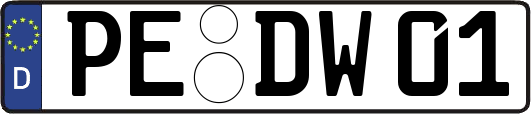 PE-DW01