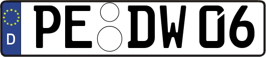 PE-DW06