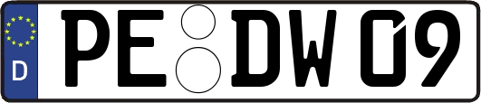 PE-DW09