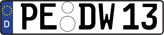 PE-DW13