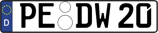 PE-DW20