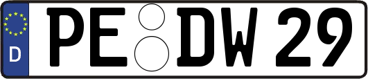 PE-DW29