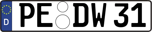 PE-DW31