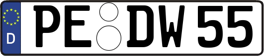 PE-DW55