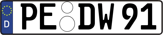 PE-DW91