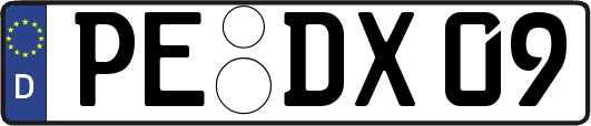 PE-DX09