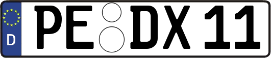 PE-DX11