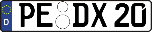 PE-DX20