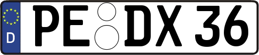 PE-DX36
