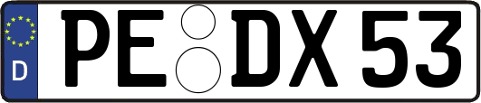 PE-DX53