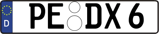 PE-DX6