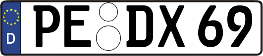 PE-DX69