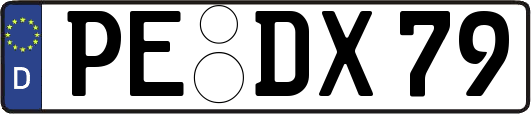 PE-DX79