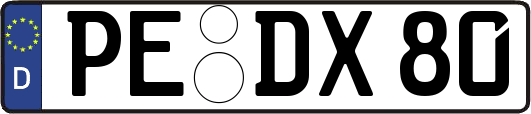 PE-DX80
