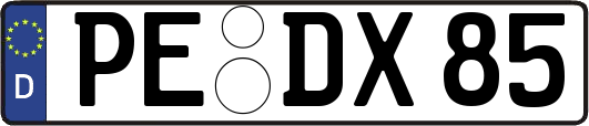 PE-DX85