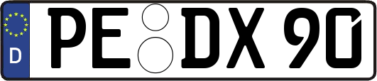 PE-DX90