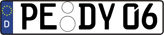 PE-DY06