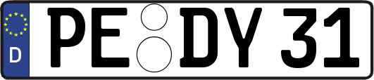 PE-DY31
