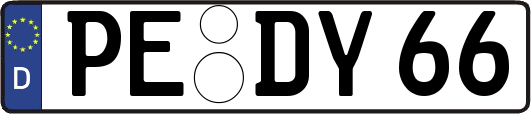 PE-DY66