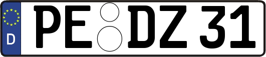 PE-DZ31