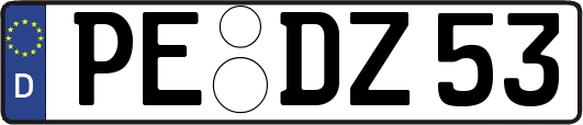 PE-DZ53